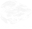 food chain films